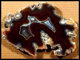 Condor Agate