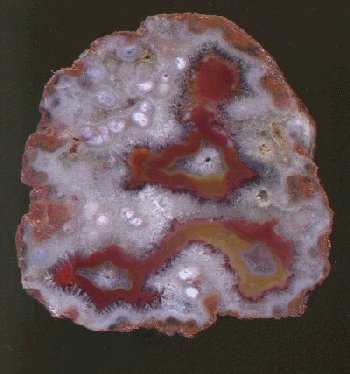 Puma Agate