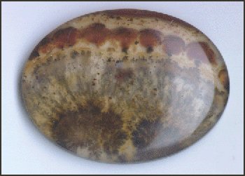 Sagenitic Agate Doublet