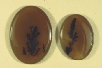 Trans-Montana Agate