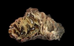 White Sail Agate, with moss inclusions