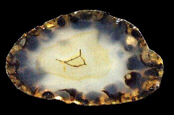 Souris Agate