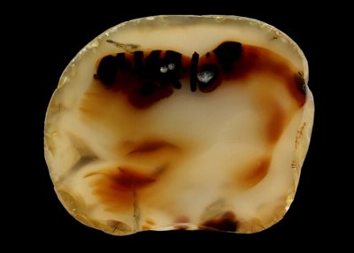 Souris Agate