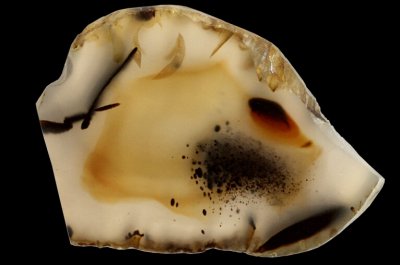 Souris Agate