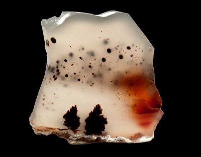 Souris Agate