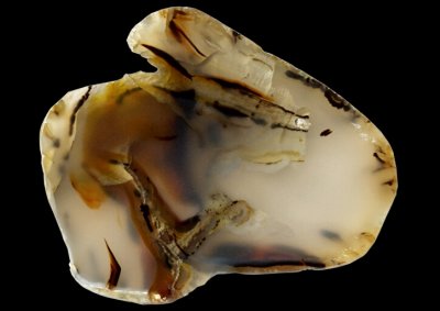 Souris Agate