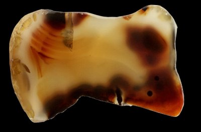 Souris Agate