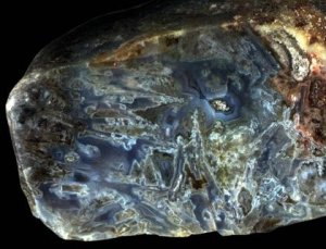 Sagenitic Agate