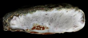 Sagenitic Agate