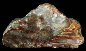Sagenitic Agate