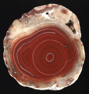 Dulcote Agate (Potato Stone)