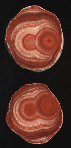 Dulcote Agate (Potato Stone)