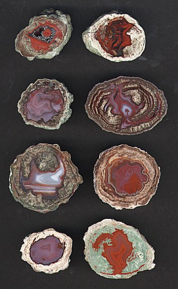 Thunder Egg Agates