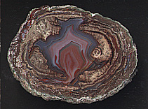 Thunder Egg Agates