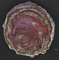 Thunder Egg Agates