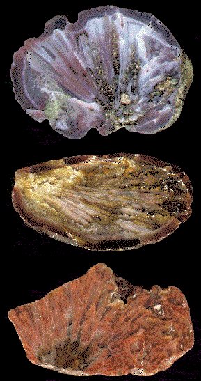 Scolecite in Agate