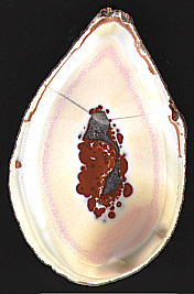 ?Autobahnbau? Friesen Agate