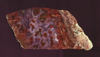 Gottschied Jasp Agate