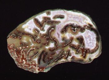 Agate