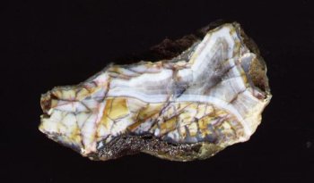 Agate