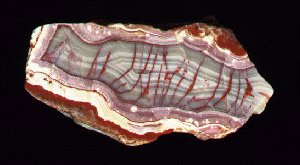 Liesegang Phenomena in Agate