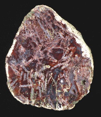 Sagenitic Agate