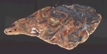 Sagenitic Agate