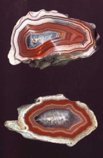 Amygdaloidal Agates