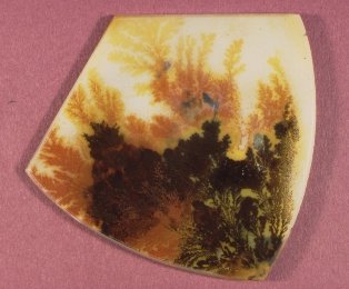 Mocha Stone (Dendritic Agate)