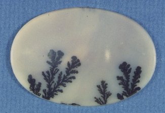 Mocha Stone (Dendritic Agate)