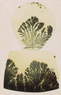 Mocha Stone (Dendritic Agate)