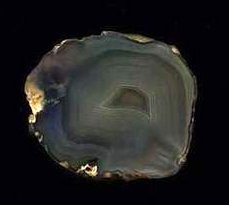 Blue Fortification Agate