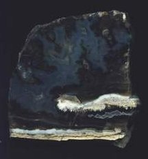 Plume Agate