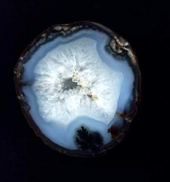 Plume Agate