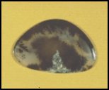 Dendritic Agate