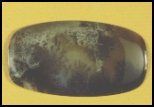 Dendritic Agate