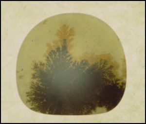 Dendritic Agate