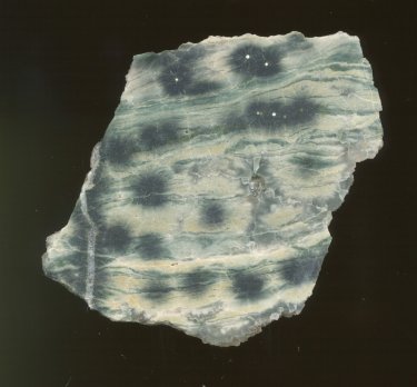 Ocean Jasper