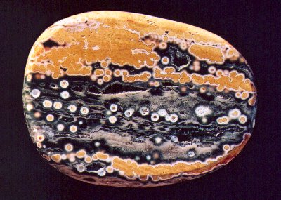Ocean Jasper