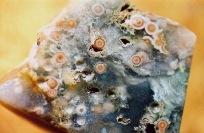 Ocean Jasper