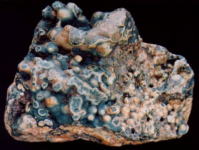 Ocean Jasper