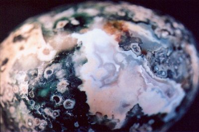 Ocean Jasper
