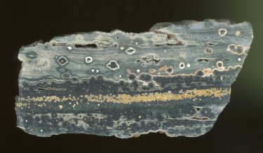 Ocean Jasper
