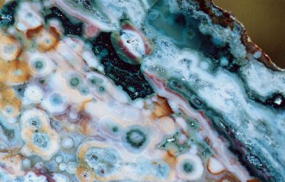 Ocean Jasper