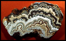 Bubble Lace Agate