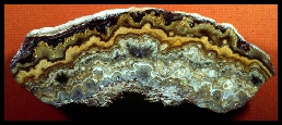 Cactus Lace Agate