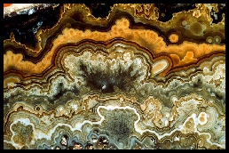 Cactus Lace Agate (close-up)