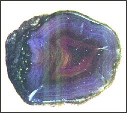 Carneros Agate