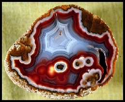 Coyamito Agate