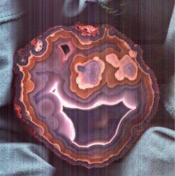 Coyamito Agate
